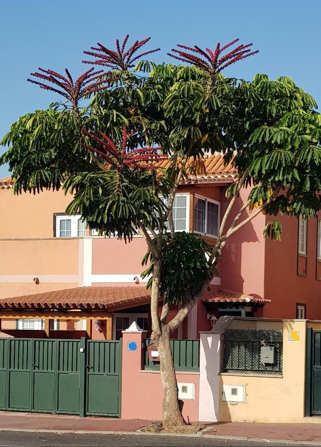 Rosas By Villas Rinamar Las Rosas  Exterior photo